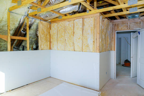 Best Insulation Installation Services in Fort Bliss, TX