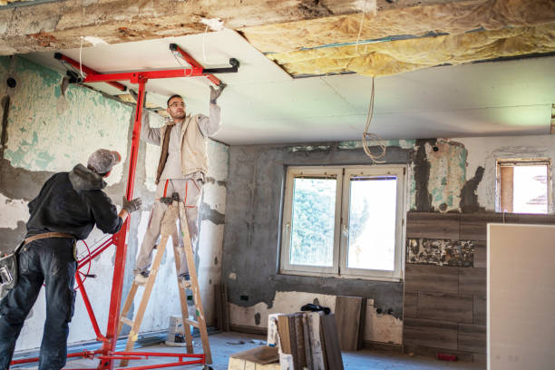 Best Insulation Maintenance and Repair in Fort Bliss, TX