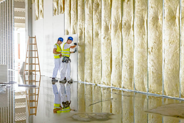 Best Commercial Insulation in Fort Bliss, TX